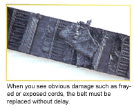 belt inspection