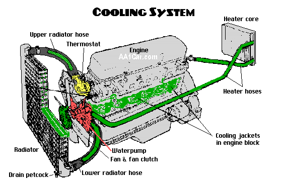 cooling system includes the radiator, water pump, thermostat, heater, hoses and antifreeze