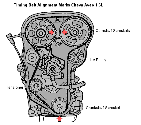 Chevy Aveo Timing Belt