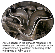 oxygen sensor