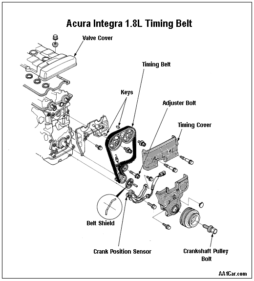 2001 acura 3.5 rl timing belt replacement