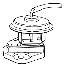 exhaust gas recirculation valve